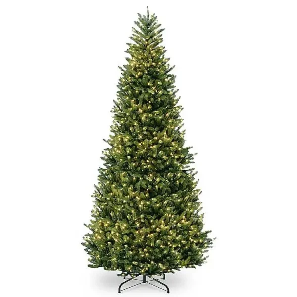 10 ft. Pre-Lit Natural Fraser Fir Christmas Tree
