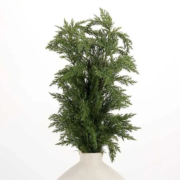 Juniper Christmas Bundle